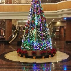Yijingbandao Restaurant User Photo
