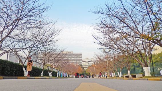 上海三大名校研學營/親子研學體驗/研學導師帶隊校園參觀+講解【上海交大/復旦大學/同濟大學+半日/一日營】