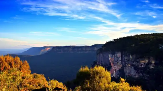 Blue Mountains 1-day tour+ Koala Photo [Includes Blue Mountains cable car and Kangaroo Feeding at Sydney Zoo]