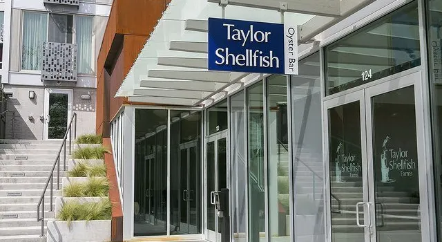 Taylor Shellfish Oyster Bar