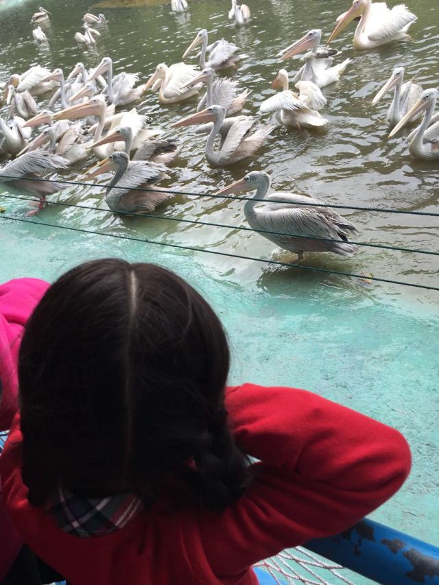 Chimelong Bird Park