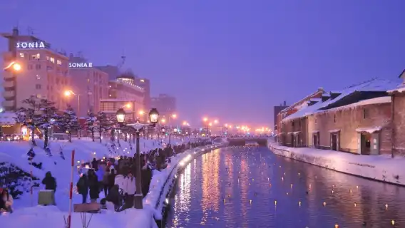 일본 홋카이도 오타루 + 비바이 스노우랜드 + 시로이코이비토 파크 당일 치기 여행: 눈놀이 체험