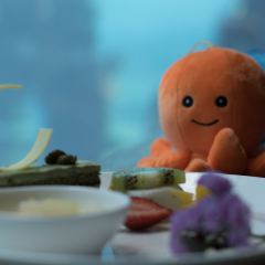 Aqua - Aquarium Restaurant User Photo
