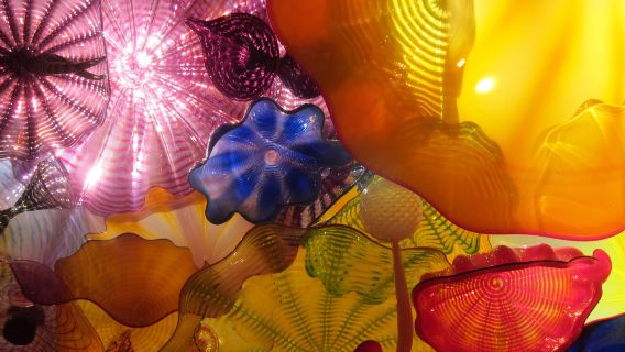 Seattle City Sightseeing one-day tour from Vancouver