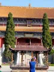 Dongguang Iron Buddha Temple