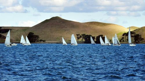 Waiheke Island