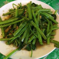 Green Bird User Photo