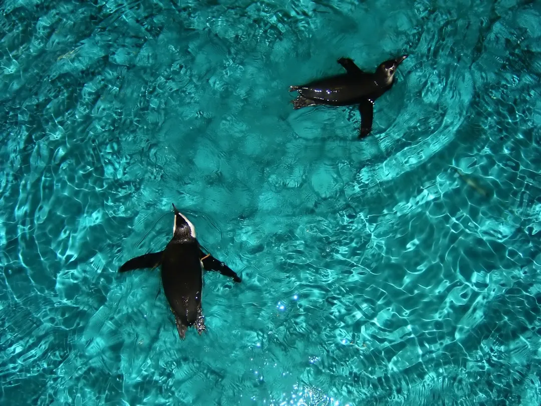 3_New England Aquarium