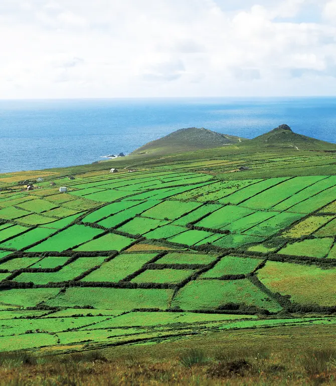 Dingle