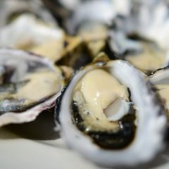 Get Shucked Oyster User Photo