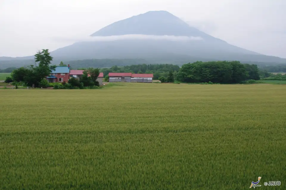 5_Mount Usu