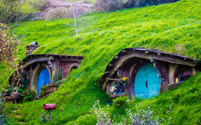 Hobbiton Movie Set