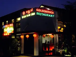 The Golden Duck