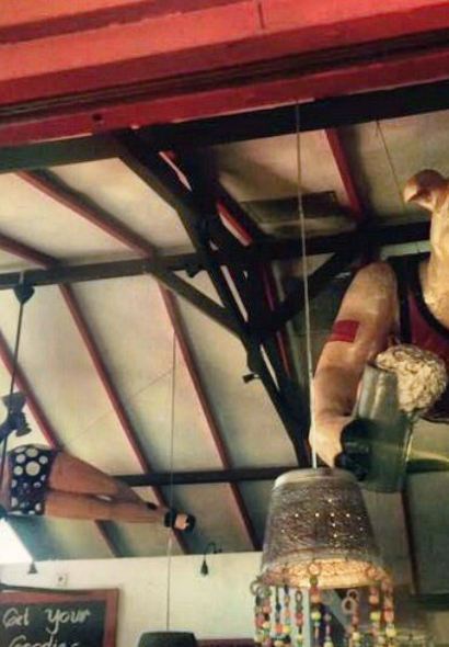 Hog Wild | Best Pork Ribs Restaurant