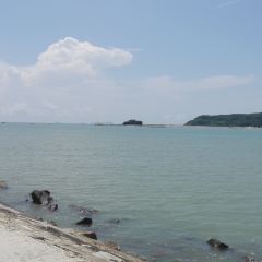 Dongpingyihaoyupai (huanweiguanriluo) User Photo