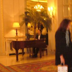 The Palm Court User Photo