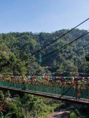 Xishuangbanna Primeval Forest Park