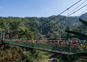 シーサンバンナ原始森林公園