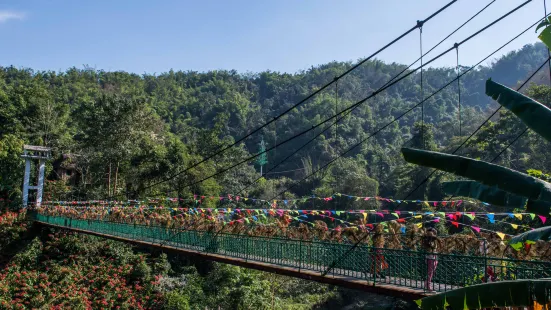 Xishuangbanna Primeval Forest Park