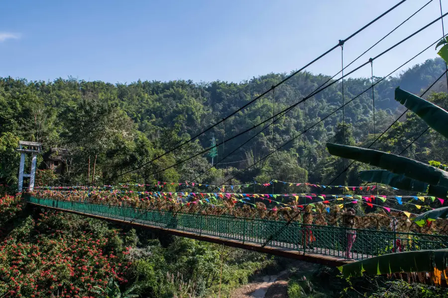 Xishuangbanna Primeval Forest Park