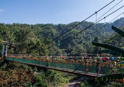 Xishuangbanna Primeval Forest Park