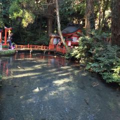 Tosenkyo Somennagashi ảnh của người dùng