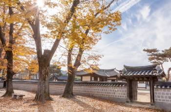 全羅北道的熱門遊賞秋景好去處