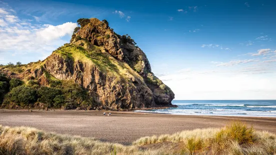 Piha Beach