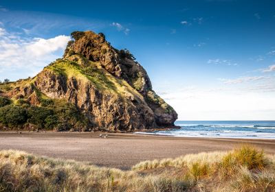 Piha Beach