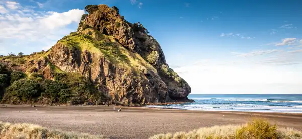 Hotels in Piha