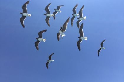 Stone Restaurant & Bar