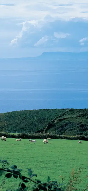 4-Star Hotels in County Cork, Ireland