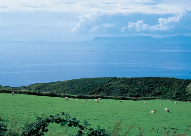 Homestay tại Cork, Ireland