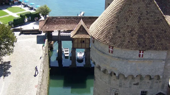 Lago Lemano + Sedia rotta + Palazzo delle Nazioni + Jet d'eau + Museo Patek Philippe + Orologio floreale