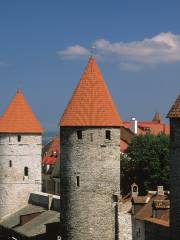 Walls of Tallinn