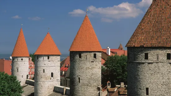 Walls of Tallinn