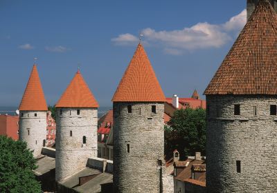 Walls of Tallinn