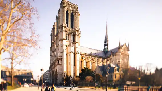 All kinds of translators, Guide , chartered private charter, photographers, business escorts, medical accompaniment, travel guides, customization