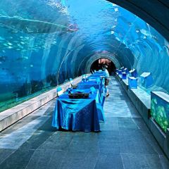 Aqua - Aquarium Restaurant User Photo