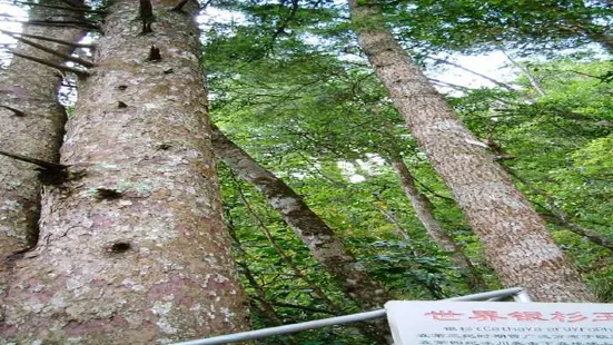 진수인산 삼림공원