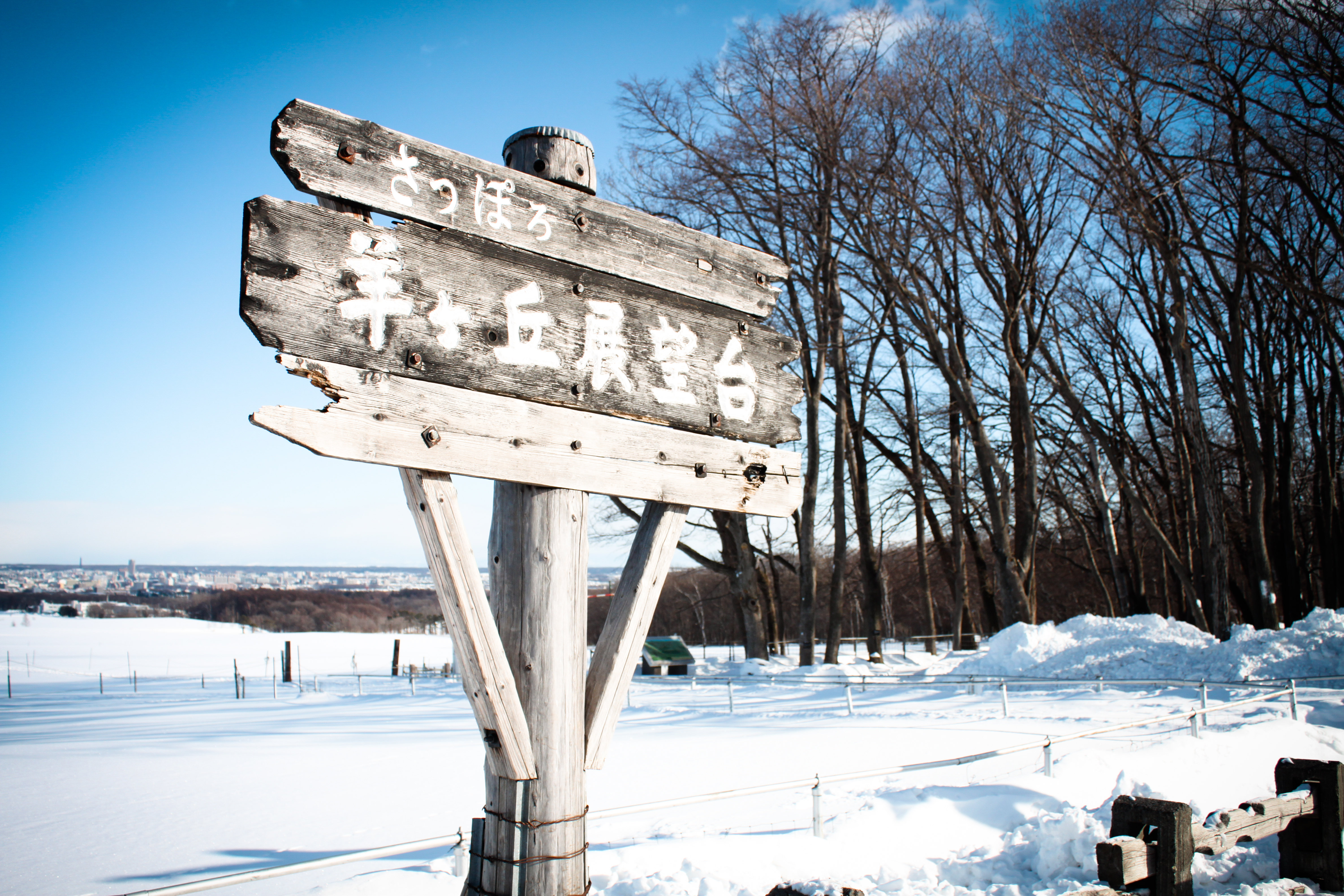 北海道 さっぽろ羊ヶ丘展望台 Eチケット 予約