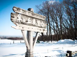 Sapporo Hitsujigaoka Observation Hill
