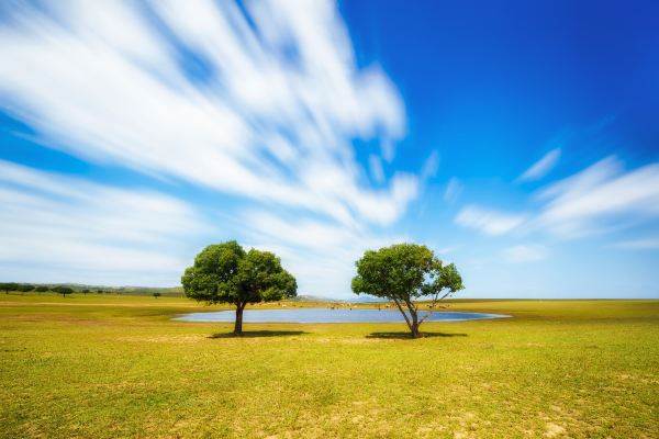 ウランホト(烏蘭浩特)