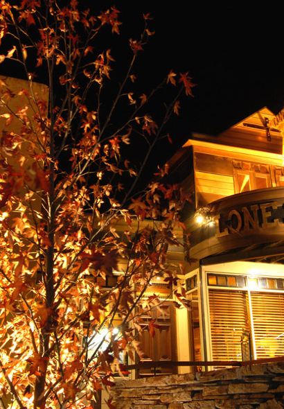 Lone Star Cafe & Bar