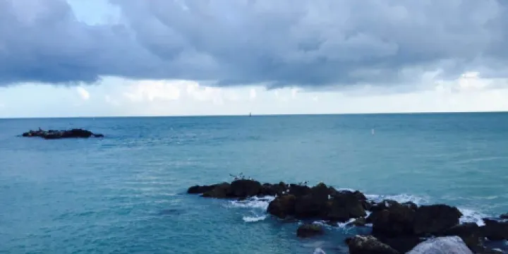The Club at Key West Harbour