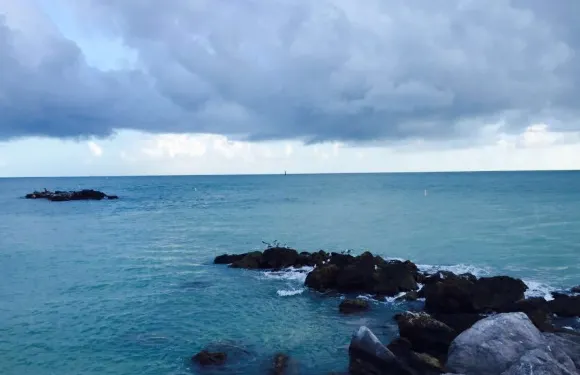 The Club at Key West Harbour