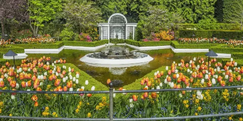 最佳維多利亞渡輪及巴士團（溫哥華出發，加拿大）