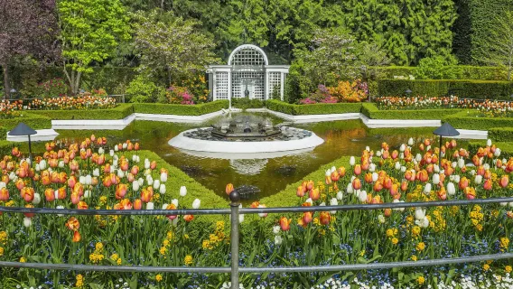 Tour phà và xe buýt Victoria TỐT NHẤT từ Vancouver, Canada