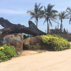 SEA STORY User Photo