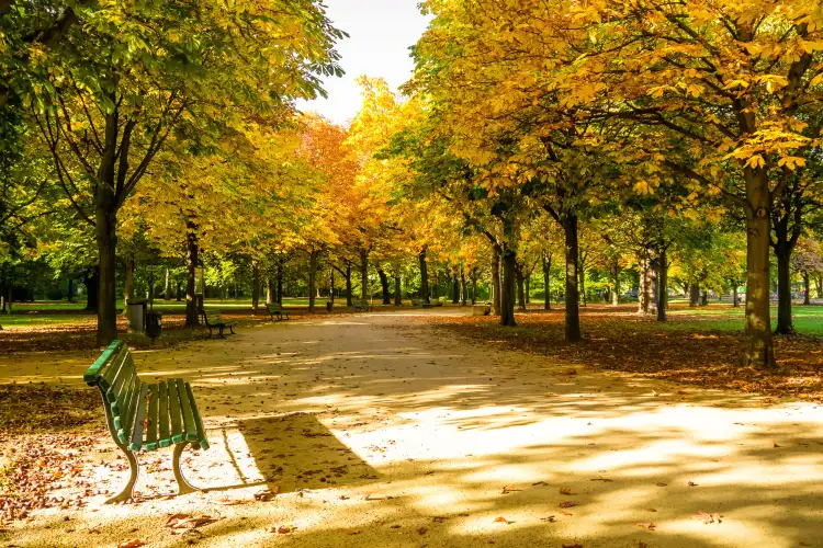 Hotels near Tiergarten